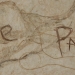 Paupières closes