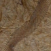 Mue