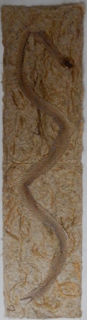Mue