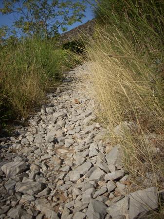 Chemin de pierres