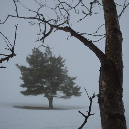 Neige et montagne