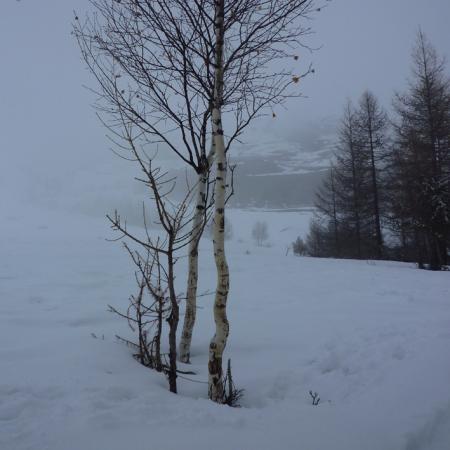 Neige et montagnes