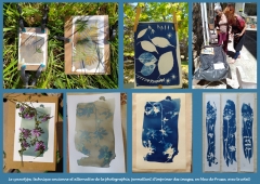 Atelier-Cyanotype-w.jpg